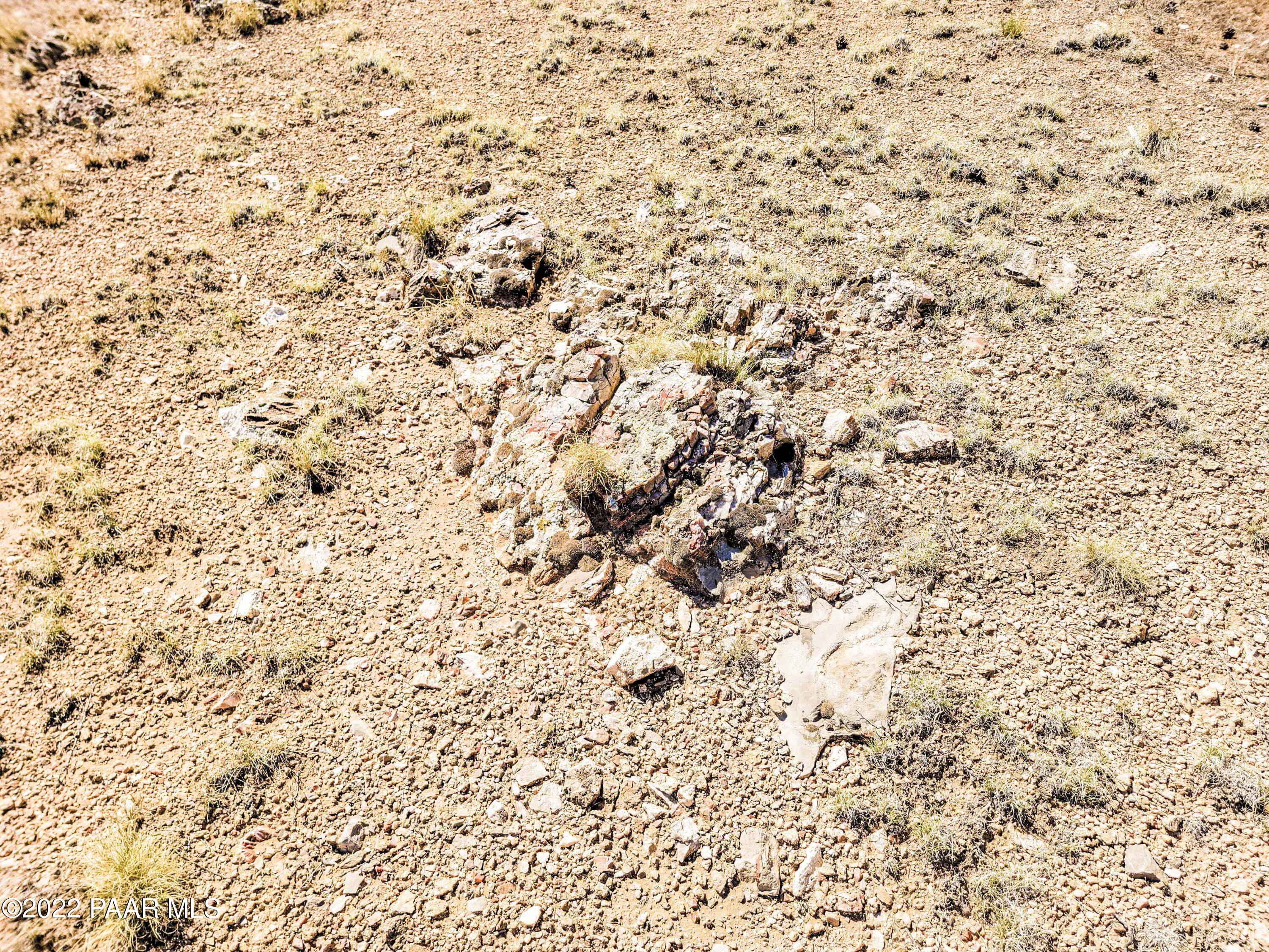 Lot 46 Wooden Ear Ranch Road Seligman, AZ 86337 - Photo 8 of 16 a view of a dry yard