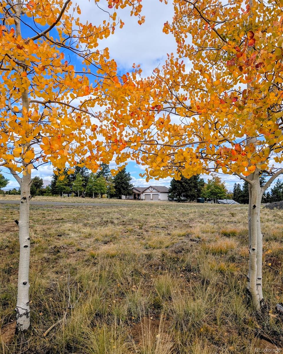3561 Singletree Road Hartsel, CO 80449 - Photo 31 of 48