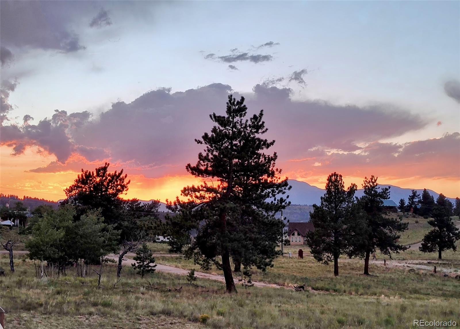 3561 Singletree Road Hartsel, CO 80449 - Photo 32 of 48