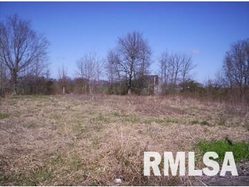 4754 North Abbott Lane Belle Rive, IL 62810 - Photo 1 of 4