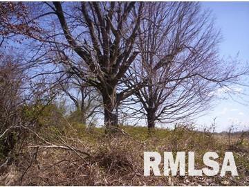 4754 North Abbott Lane Belle Rive, IL 62810 - Photo 2 of 4