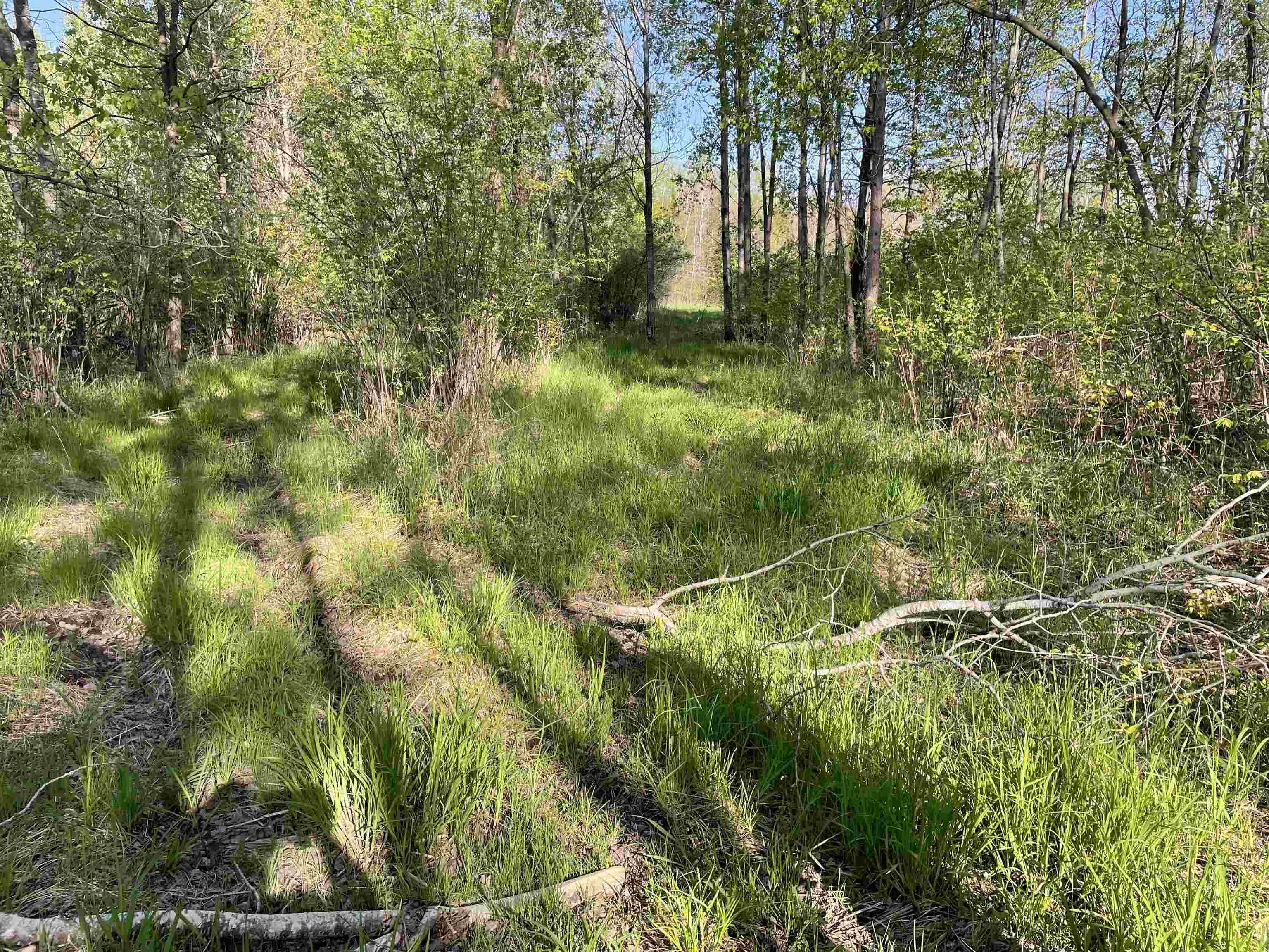 10773 County Rd K Auburndale, WI 54412 - Photo 7 of 27