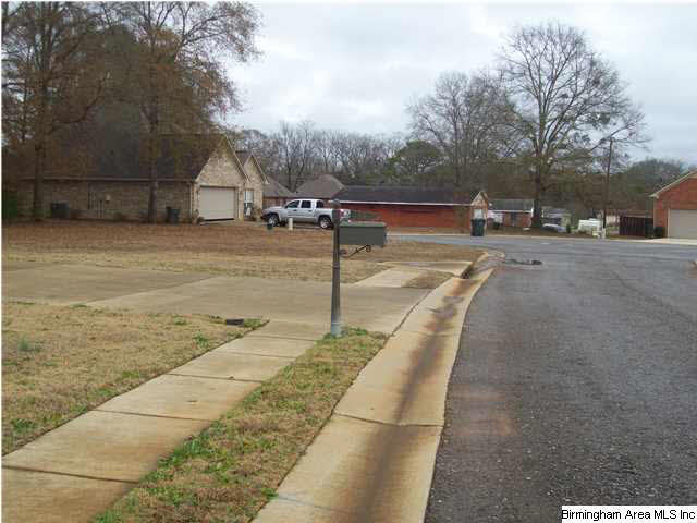 75 Camerons Way West Lincoln, AL 35096 - Photo 8 of 31