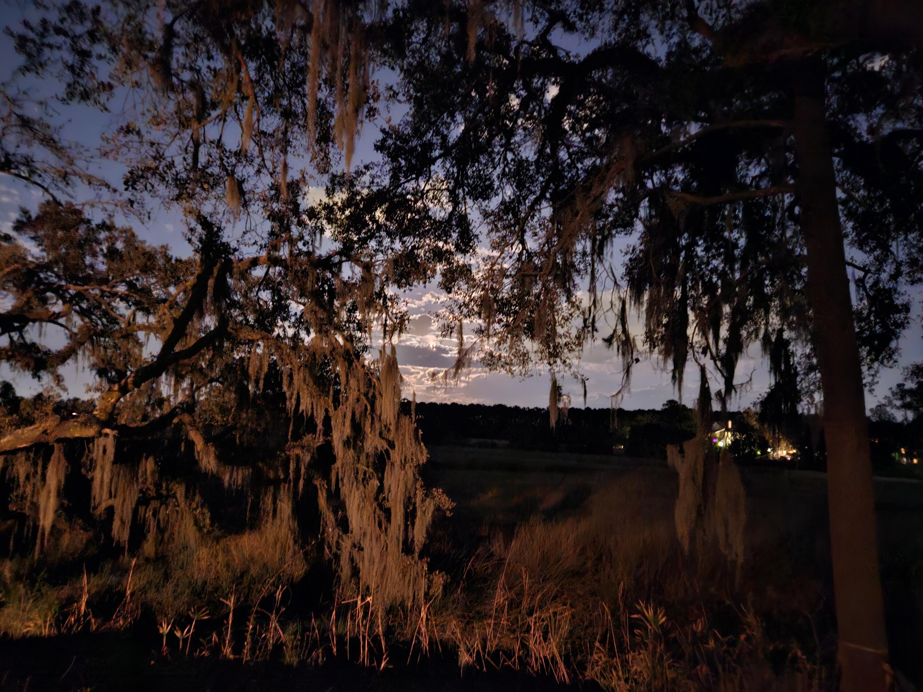 2340 Ashley River Road Charleston, SC 29414 - Photo 19 of 54 Moonrise!!!