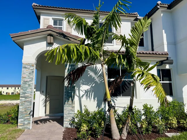 a view of a potted plant