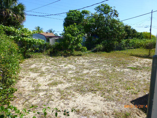 856 West 2nd Street Riviera Beach, FL 33404 - Photo 3 of 22 a view of a yard with plants and large trees