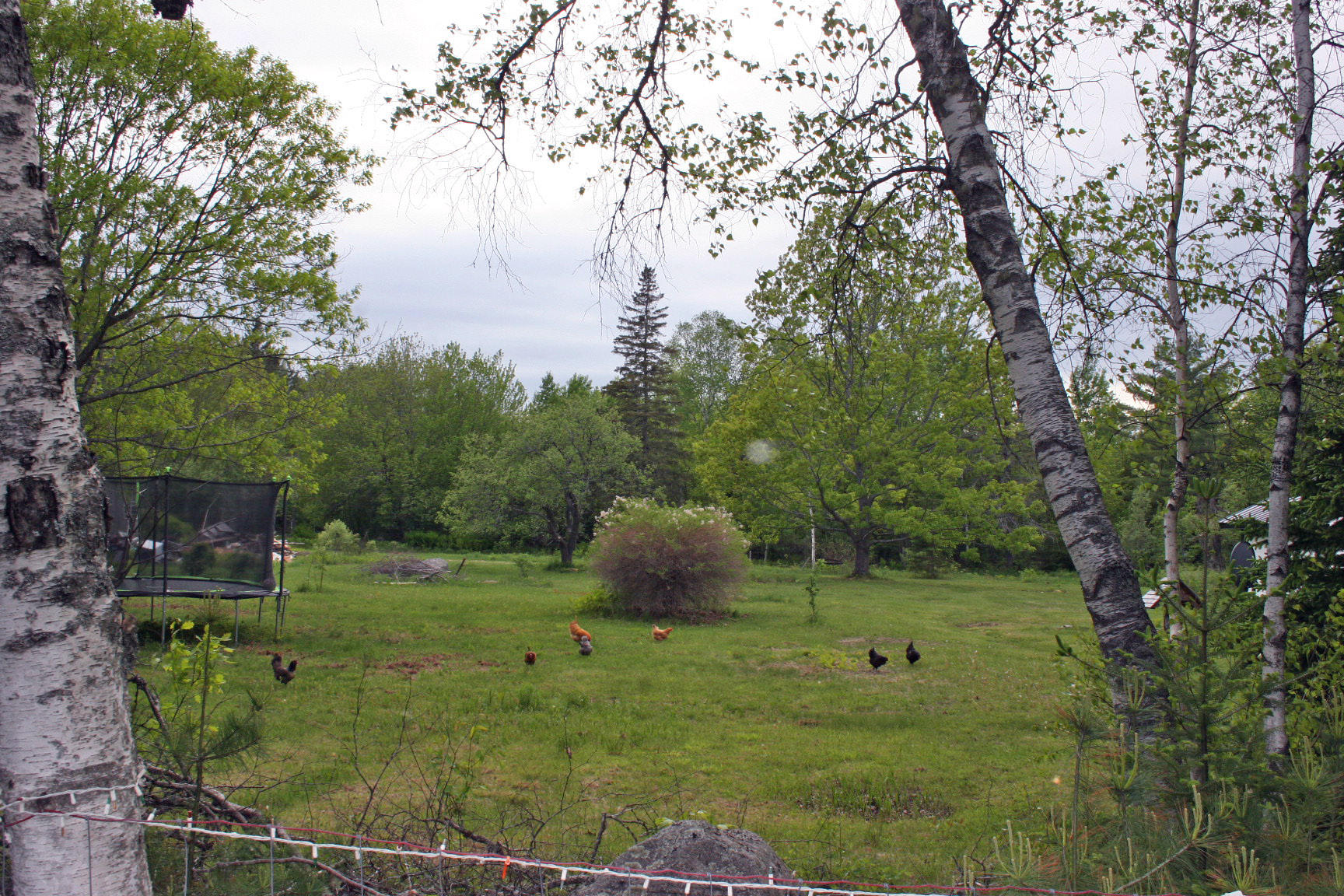 1311 Long Ridge Road Burlington, ME 04417 - Photo 37 of 62 IMG_0475_edited-1