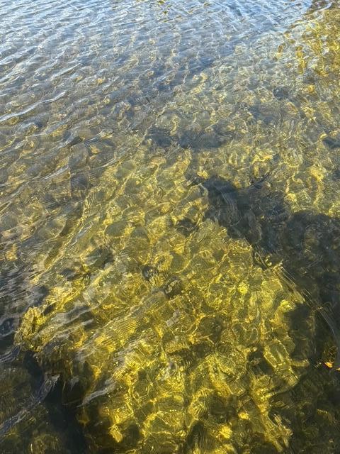 51021 Fish Lake Road, Unit 8 Detroit Lakes, MN 56501 - Photo 43 of 46