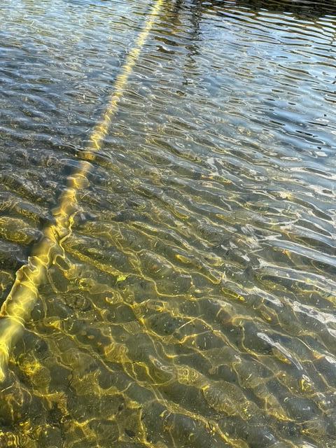 51021-8 Fish Lake Road Detroit Lakes, MN 56501 - Photo 55 of 57