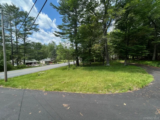 a view of a garden with a slide