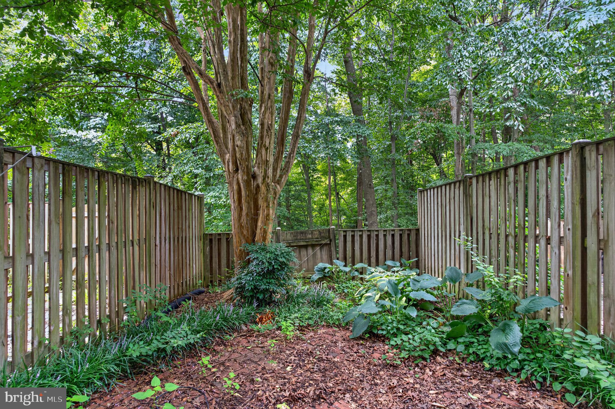 6313 Sunset Terrace Springfield, VA 22153 - Photo 25 of 27 Gallery Image 25