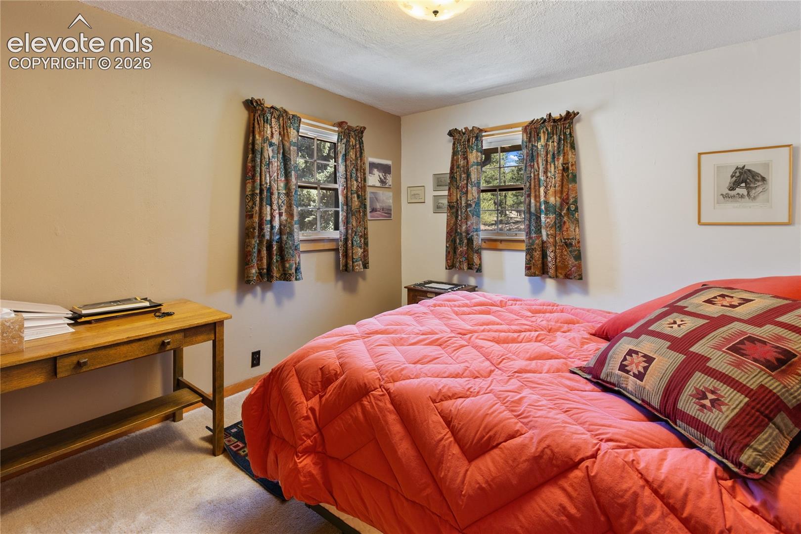 146 Toms Ranch Rd Lake Lake George, CO 80827 - Photo 23 of 30