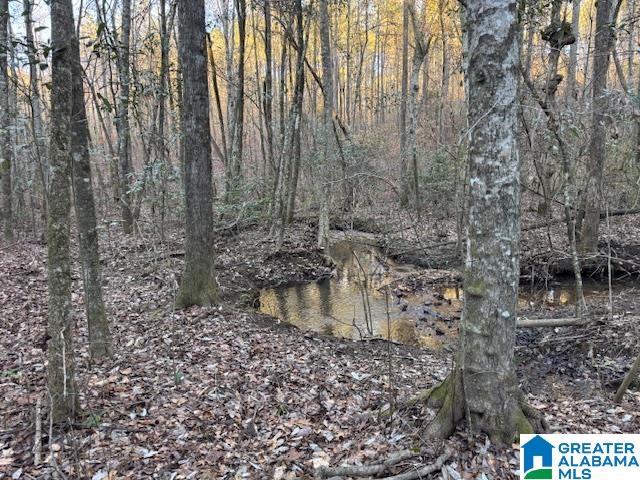 170 Valley Grove Road, Unit 45 AC Cragford, AL 36255 - Photo 16 of 19