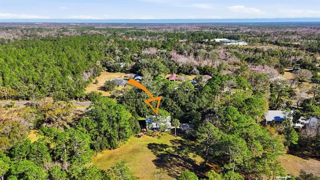 a view of a city with lush green forest