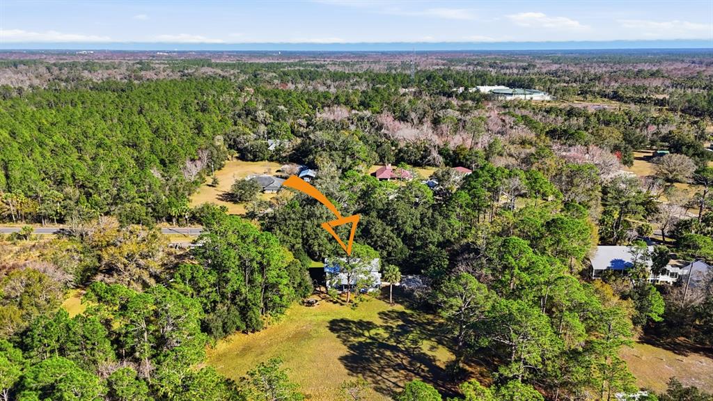 404 Old Haw Creek Road Bunnell, FL 32110 - Photo 47 of 51 a view of a city with lush green forest