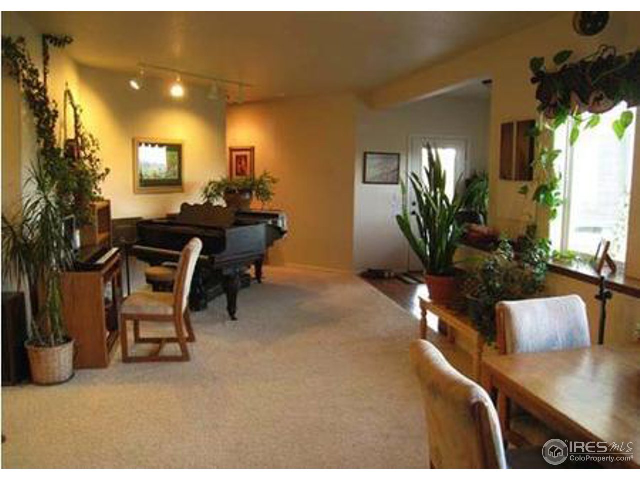 915 Ranch Springs Road Laporte, CO 80535 - Photo 10 of 23 Gallery Image 10