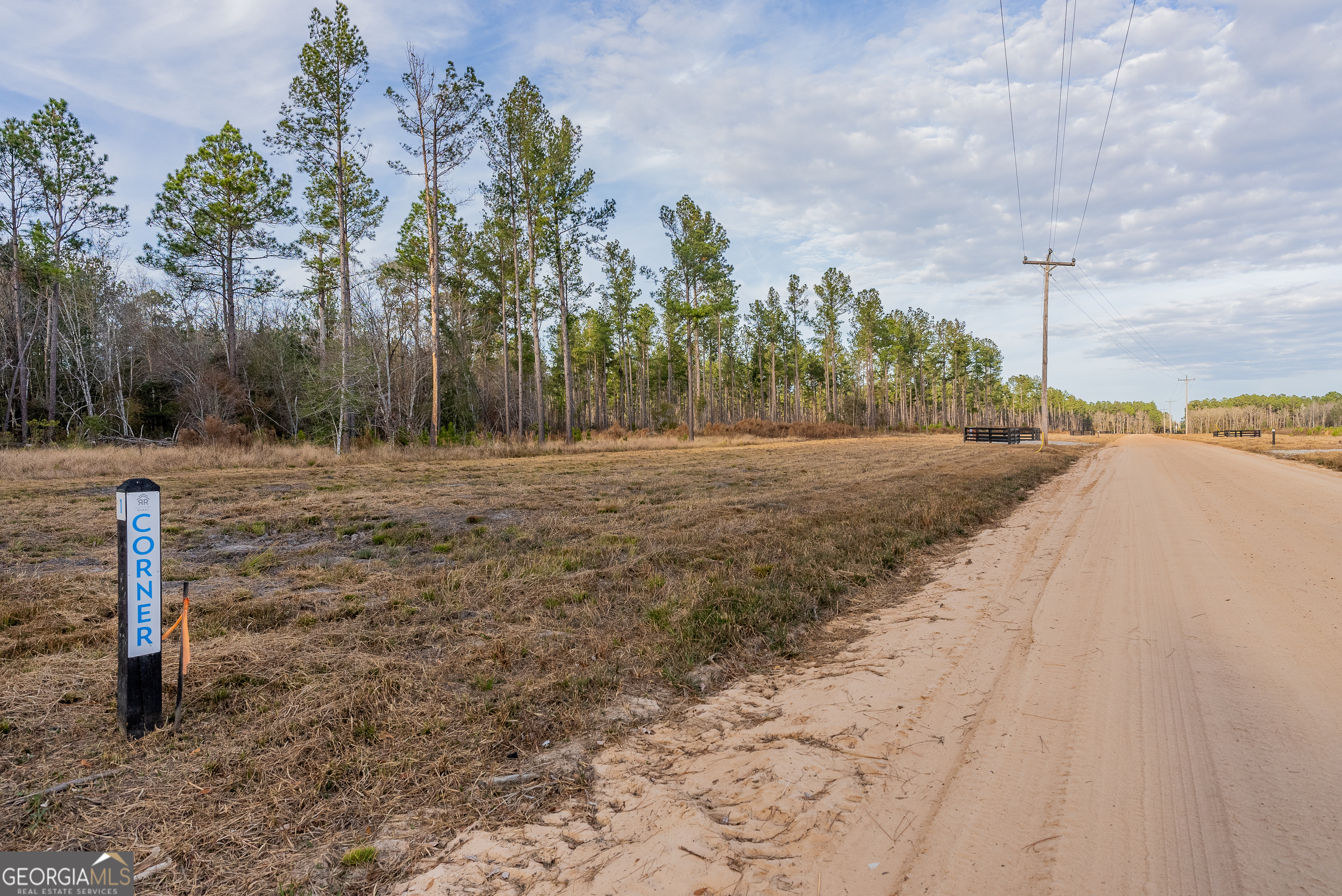 Lot 2 Arcola Road Brooklet, GA 30415 - Photo 2 of 3 a backyard of a house with lots of green space