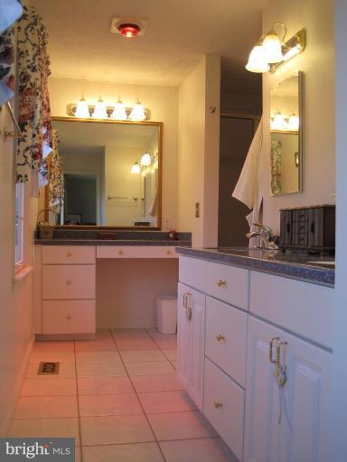 257 Charring Court Riva, MD 21140 - Photo 27 of 27 Master Bath