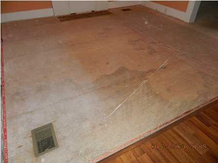 1315 Pleasant Street East Ridge, TN 37412 - Photo 27 of 28 Additional Photo