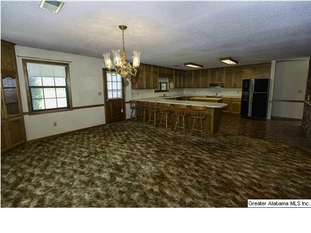 3706 Mt Olive Road Mount Olive, AL 35117 - Photo 9 of 20