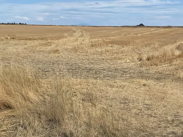 $150,000 | 35251 Crescent N Road, Unit PARCEL 6, Reardan, WA 99029