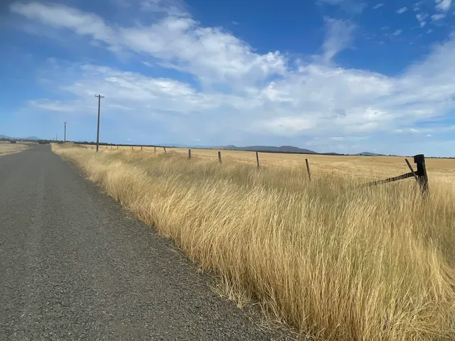 $150,000 | 35251 Crescent N Road, Unit PARCEL 6, Reardan, WA 99029