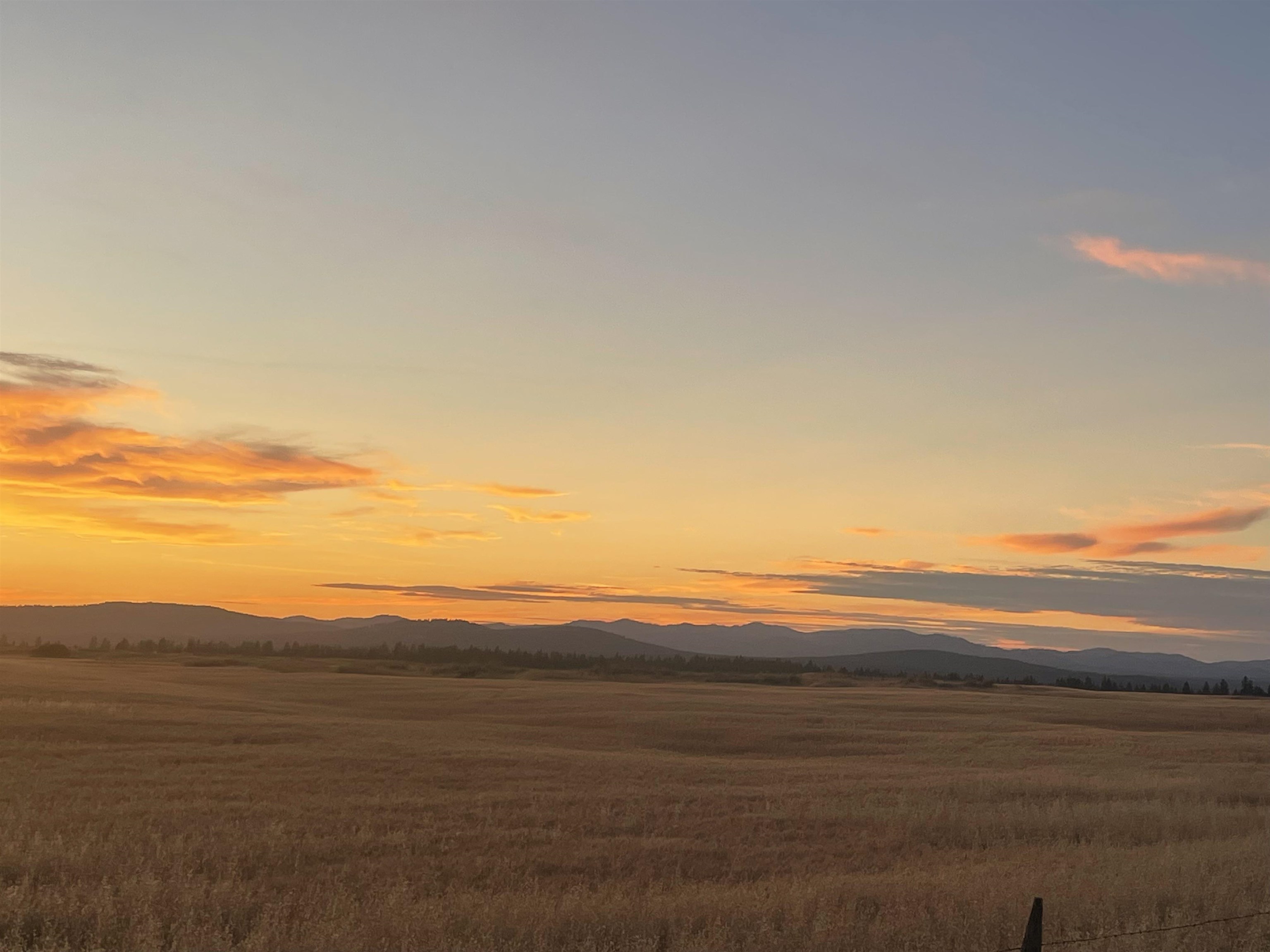 35251 Crescent N Road, Unit PARCEL 6 Reardan, WA 99029 - Photo 3 of 17