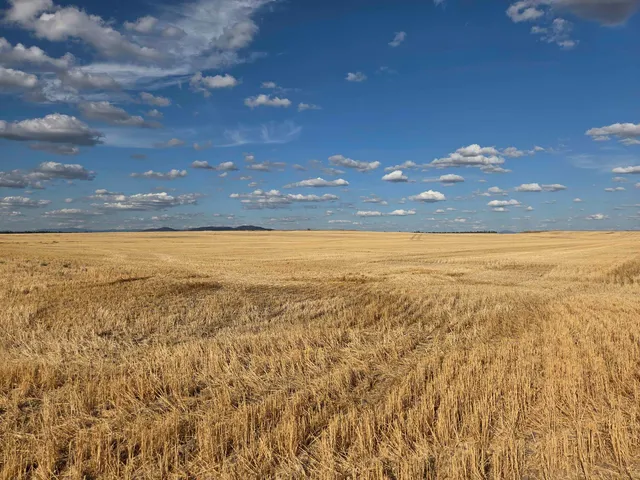 $150,000 | 35251 Crescent N Road, Unit PARCEL 6, Reardan, WA 99029