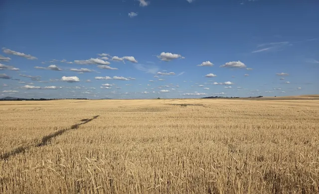 $150,000 | 35251 Crescent N Road, Unit PARCEL 6, Reardan, WA 99029