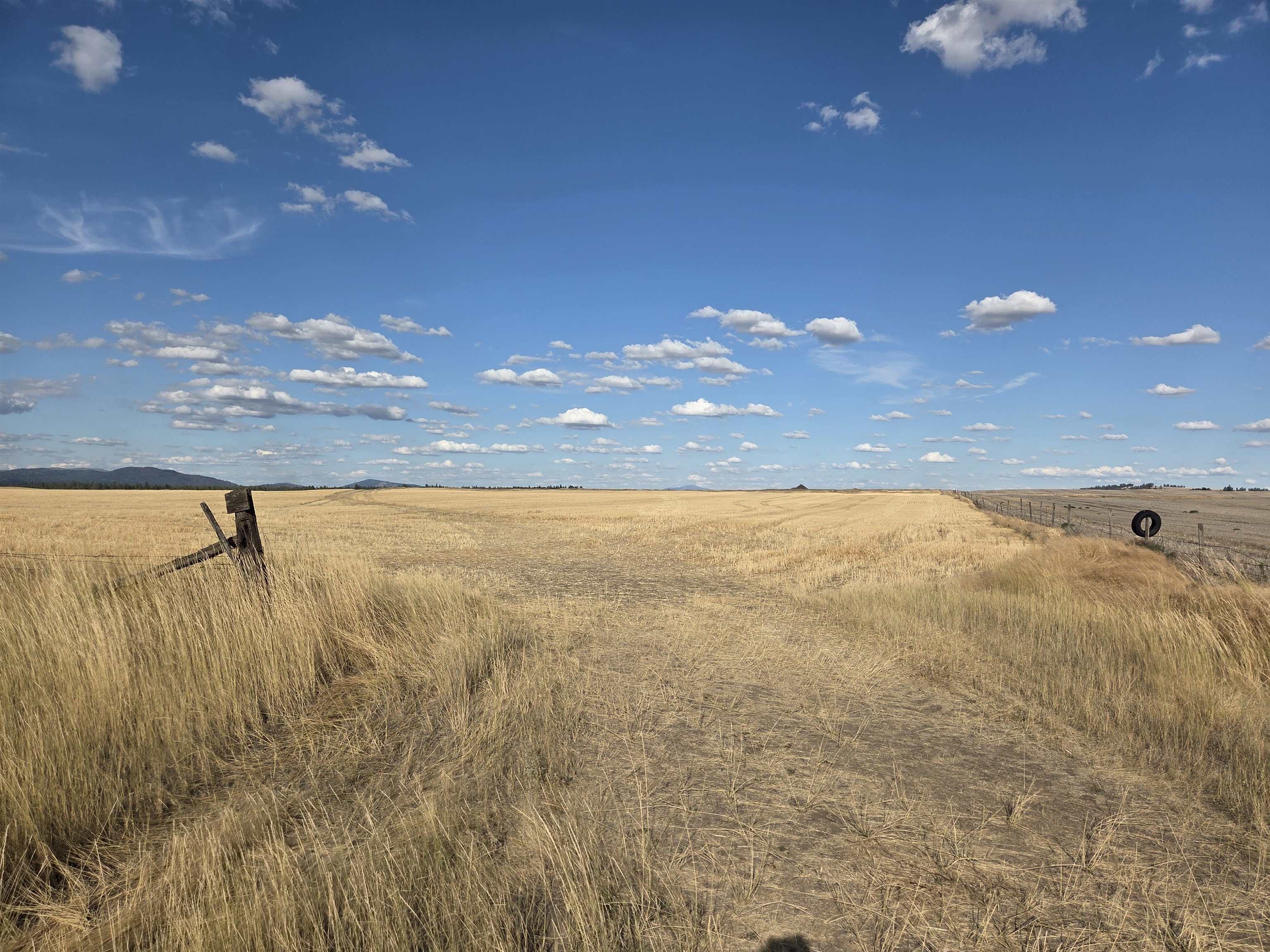 35251 Crescent N Road, Unit PARCEL 6 Reardan, WA 99029 - Photo 8 of 17