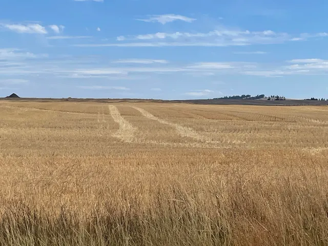 $150,000 | 35251 Crescent N Road, Unit PARCEL 6, Reardan, WA 99029