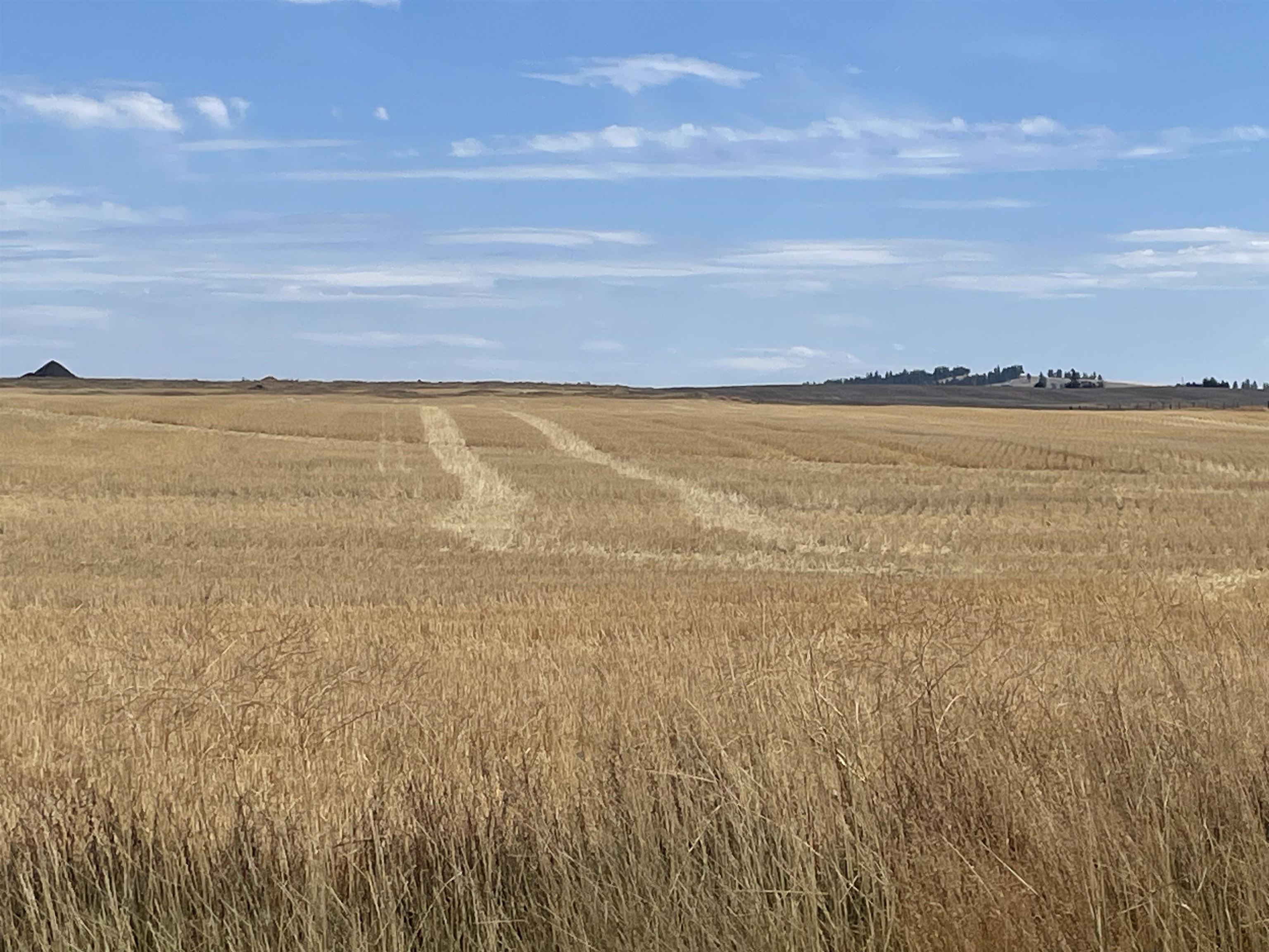 35251 Crescent N Road, Unit PARCEL 6 Reardan, WA 99029 - Photo 9 of 17