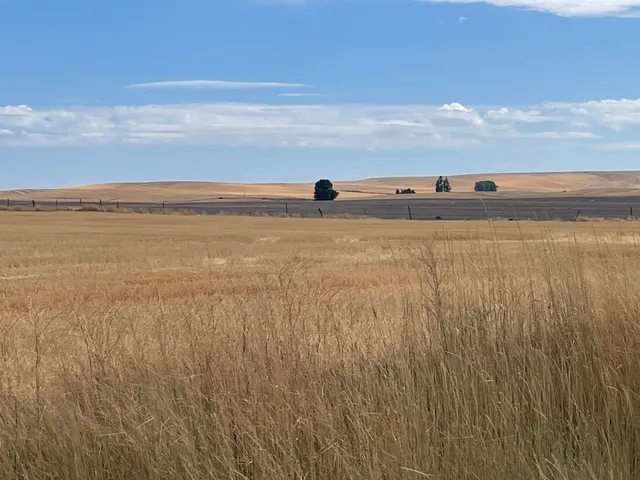 $150,000 | 35251 Crescent N Road, Unit PARCEL 6, Reardan, WA 99029