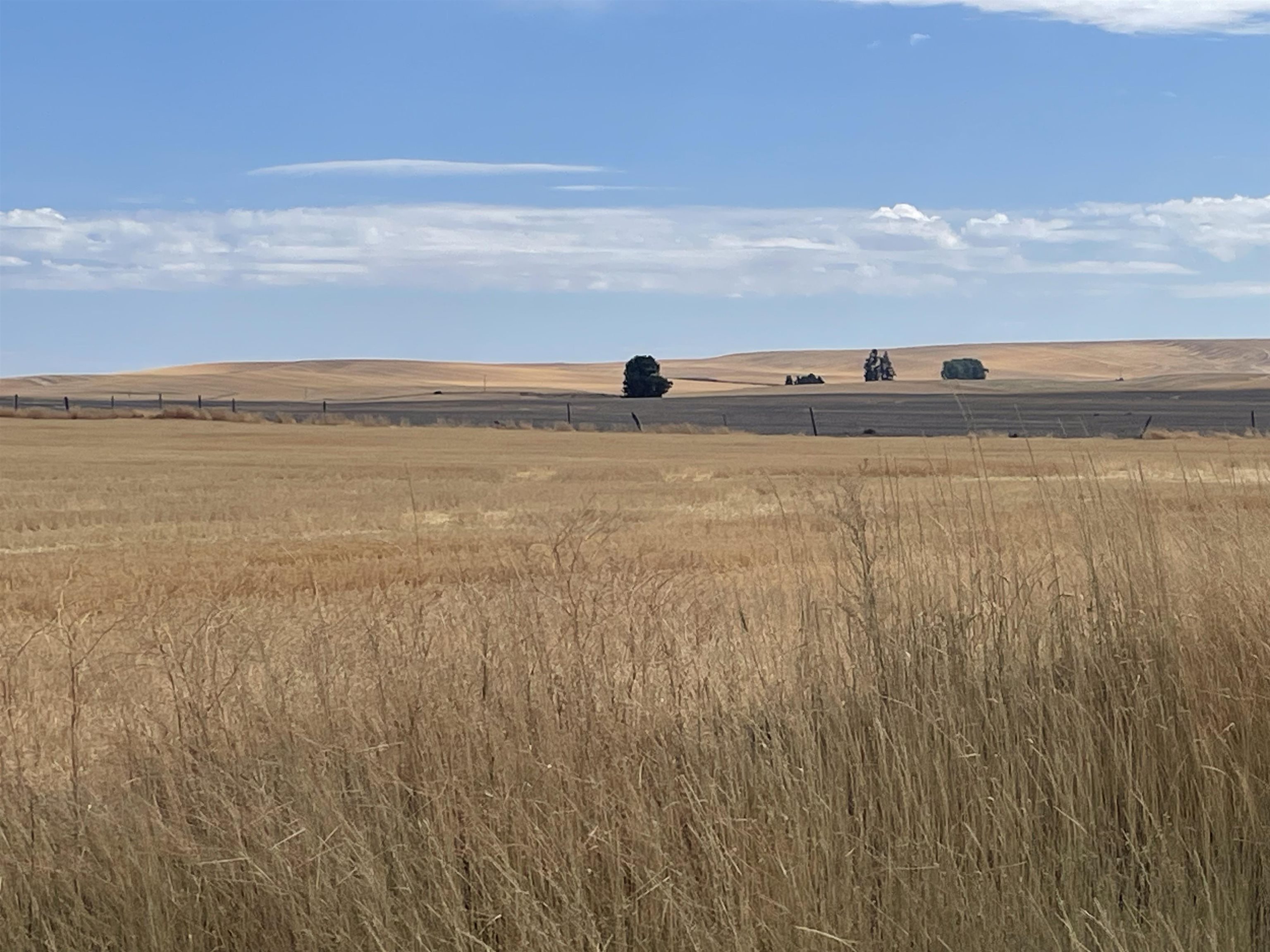 35251 Crescent N Road, Unit PARCEL 6 Reardan, WA 99029 - Photo 10 of 17