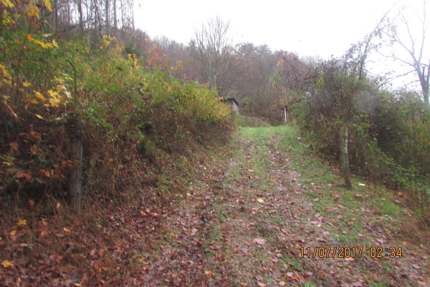 502 Shoreline Drive Road Walker, KY 40997 - Photo 27 of 27 Photo 27