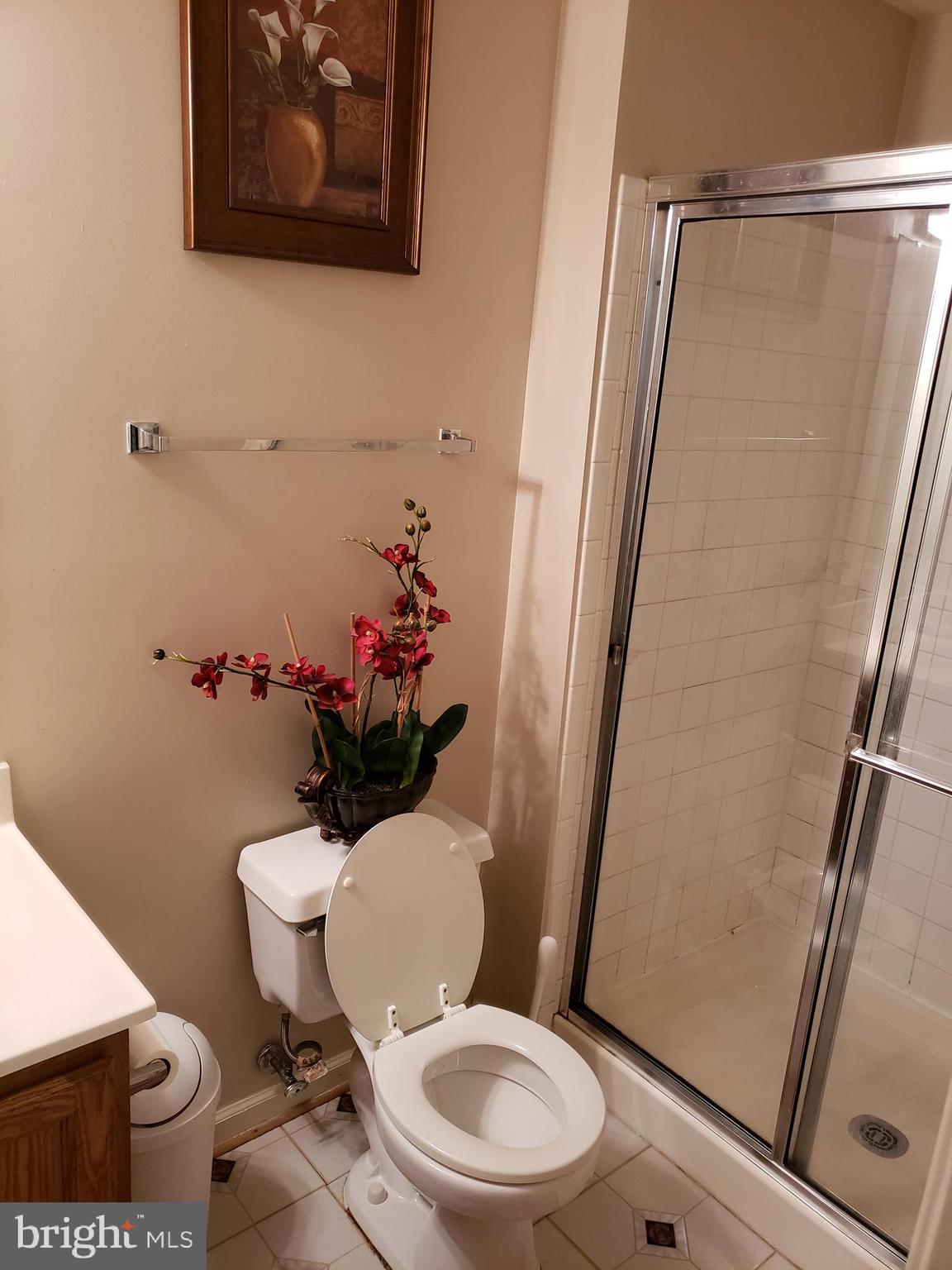 5418 Castlestone Drive Rosedale, MD 21237 - Photo 22 of 25 Basement (Full Bathroom)