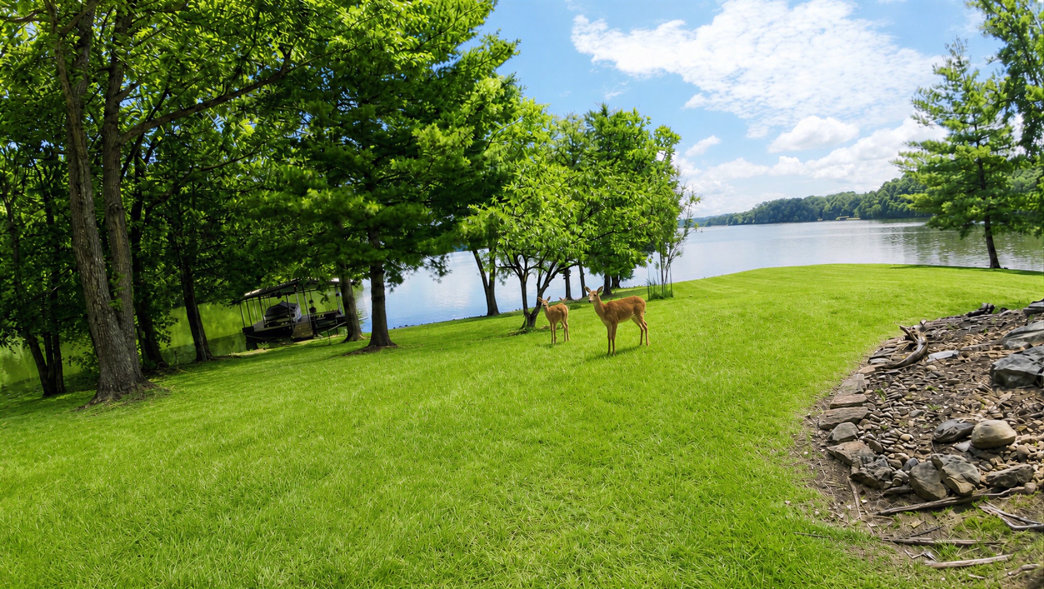 897 Summit Point Cadiz, KY 42211 - Photo 4 of 60