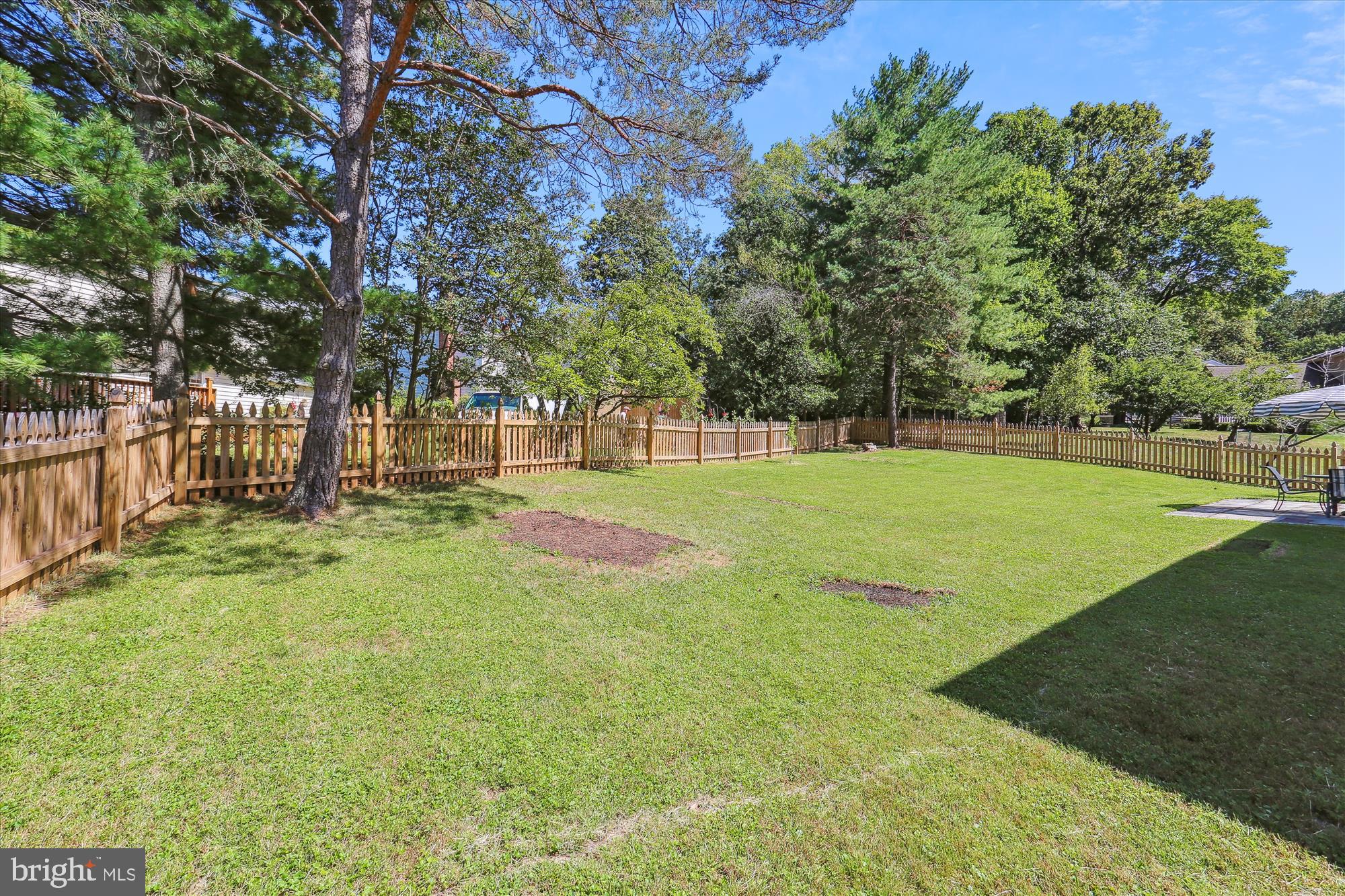 14821 Windmill Terrace Silver Spring, MD 20905 - Photo 3 of 72 Back Yard