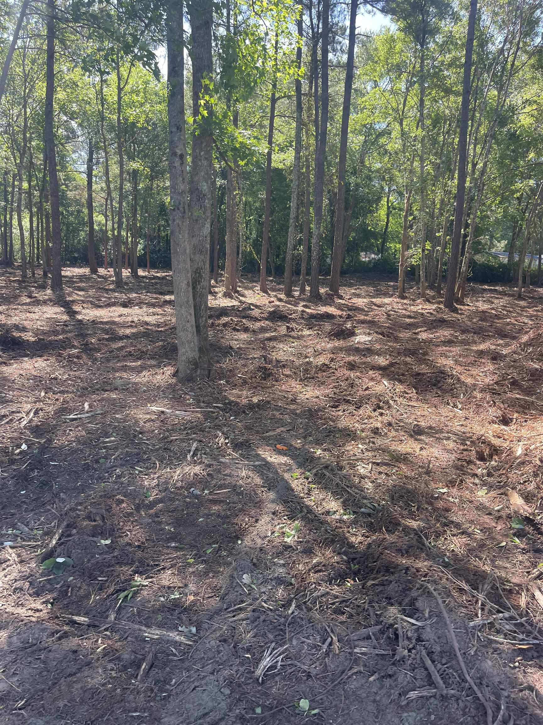Tbd Tbd Mount Loris, SC 29569 - Photo 16 of 26