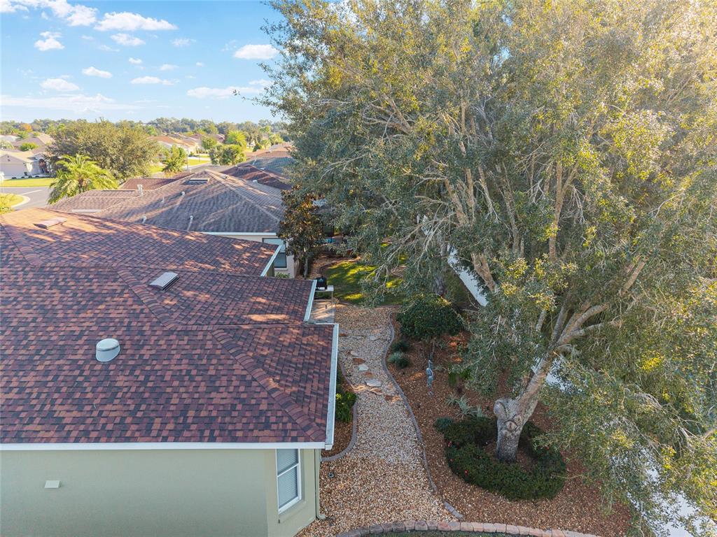 16116 Southwest 15th Court Ocala, FL 34473 - Photo 12 of 81 a view of a yard