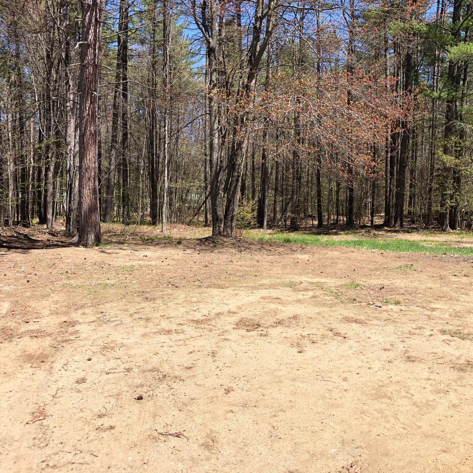 217 Webber Brook Road Oxford, ME 04270 - Photo 30 of 38 back yard
