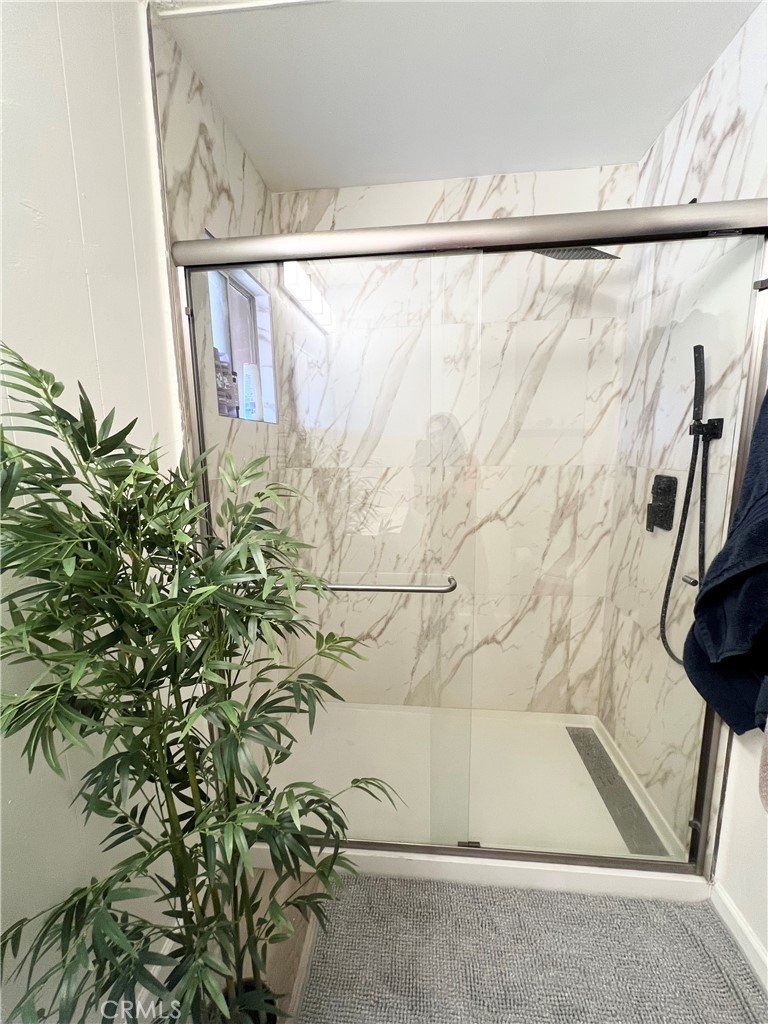 45080 Terwilliger Road Anza, CA 92539 - Photo 36 of 45 a bathroom with a shower and a plant on the wall