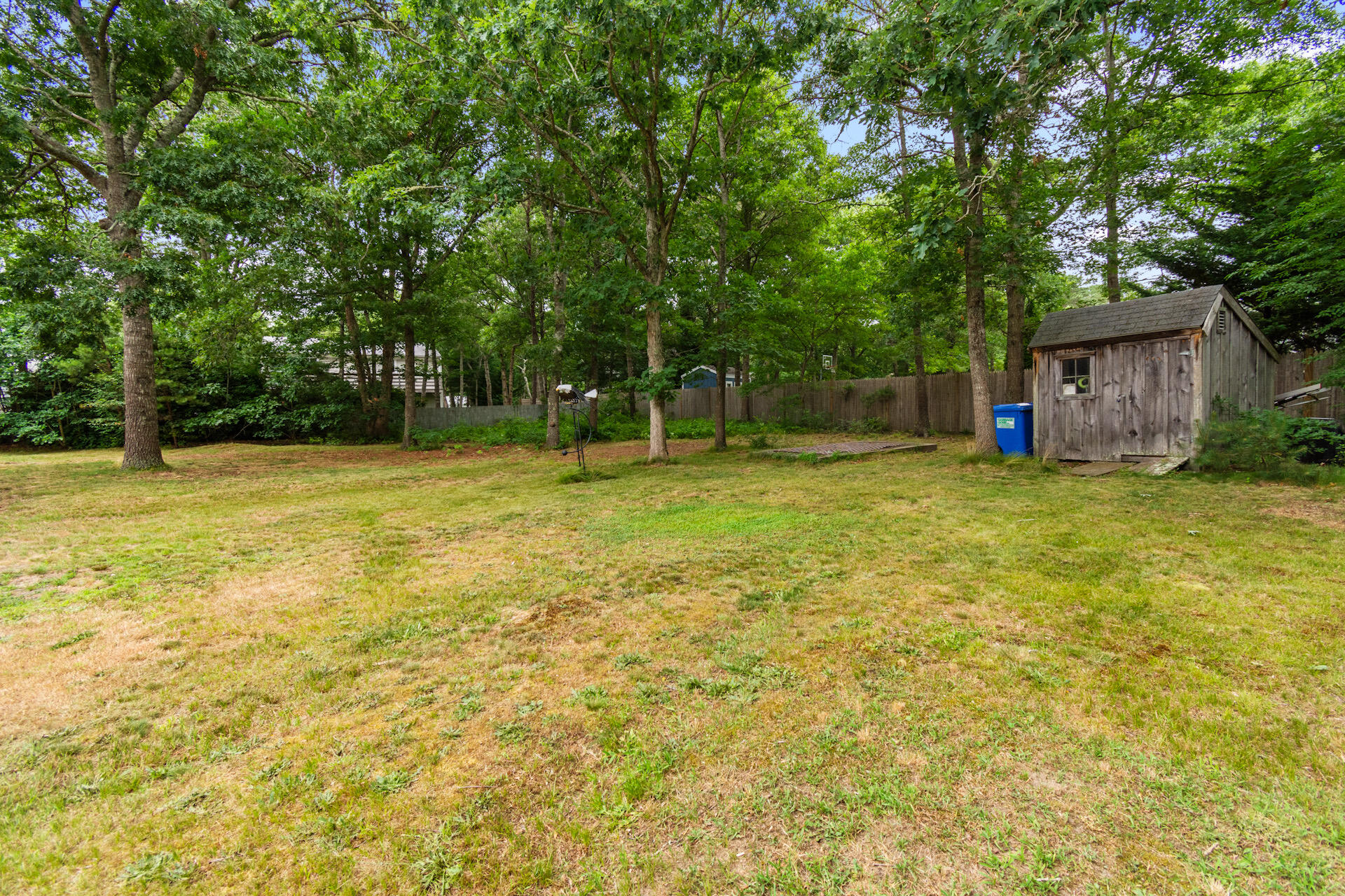 30 Patience Lane Cotuit, MA 02635 - Photo 22 of 27 a view of a tree in a yard