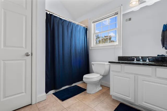 a bathroom with a sink a toilet a vanity and mirror