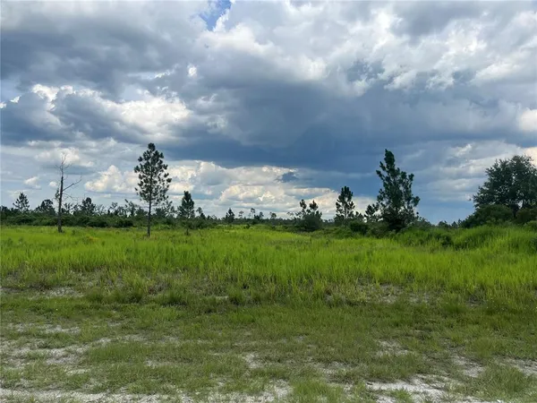 $19,900 | Pinnata Dr Lake, Frostproof, FL 33843