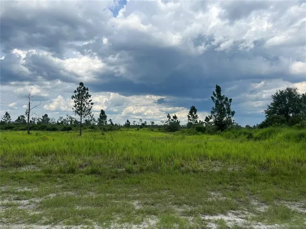 $19,900 | Pinnata Dr Lake, Frostproof, FL 33843
