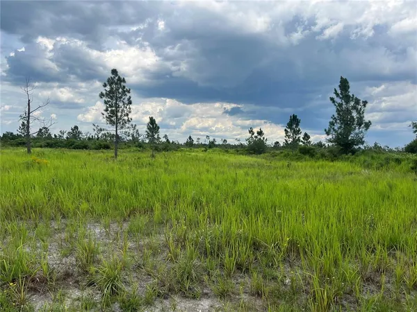 $19,900 | Pinnata Dr Lake, Frostproof, FL 33843