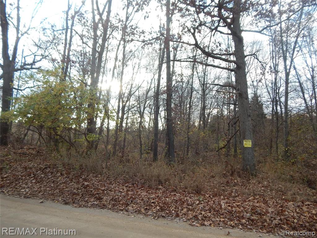 0 Bentley Lake Road Pinckney, MI 48169 - Photo 24 of 24