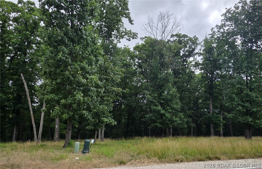 Lot 124 Terry Rd Lake Lake Ozark, MO 65049 - Photo 2 of 16