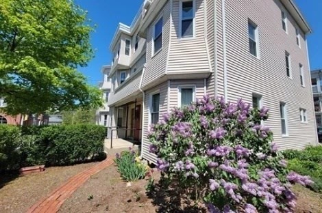 2 Sherman Street, Unit 2A3 Cambridge, MA 02138 - Photo 16 of 18 a front view of a house with plants